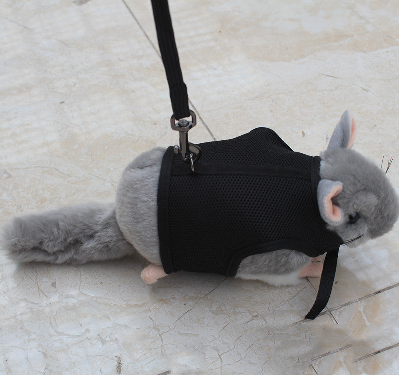 Small Pet Leash