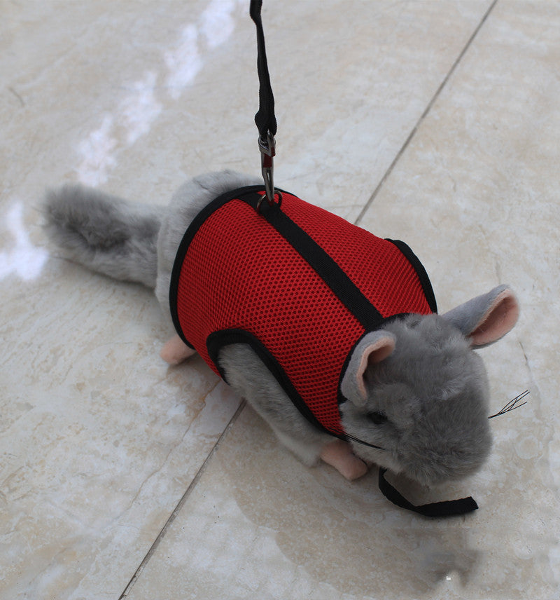 Small Pet Leash 